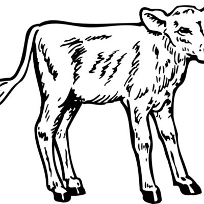 COW028 Thumbnail