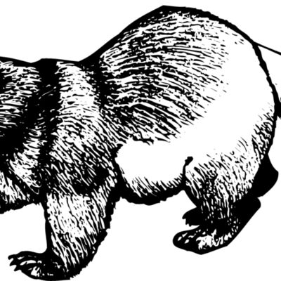 BADGER02 Thumbnail