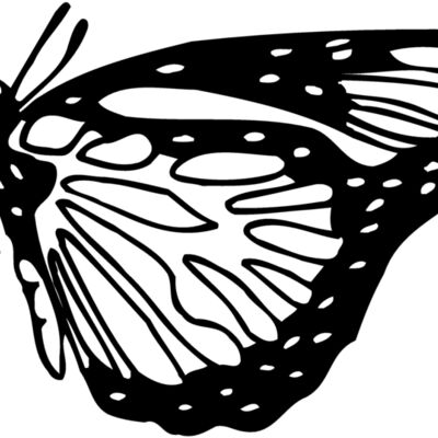 BTRFLY03 Thumbnail
