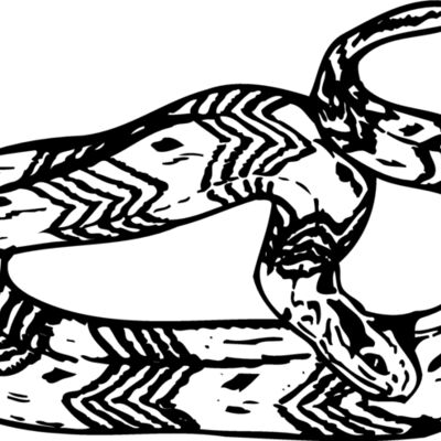 SNAKE002 Thumbnail