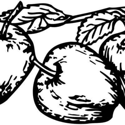FRUIT018 Thumbnail