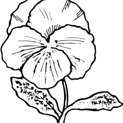 FLOWER07 Thumbnail