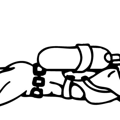 SWIM08 Thumbnail